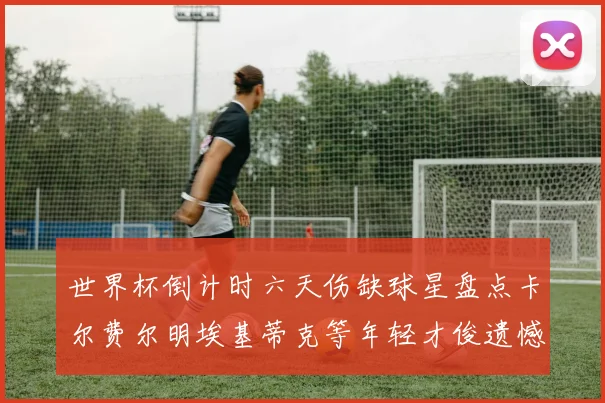 世界杯倒计时六天伤缺球星盘点卡尔费尔明埃基蒂克等年轻才俊遗憾缺席