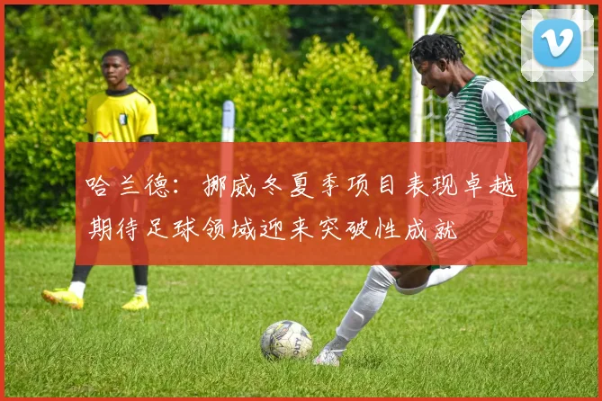 哈兰德：挪威冬夏季项目表现卓越期待足球领域迎来突破性成就